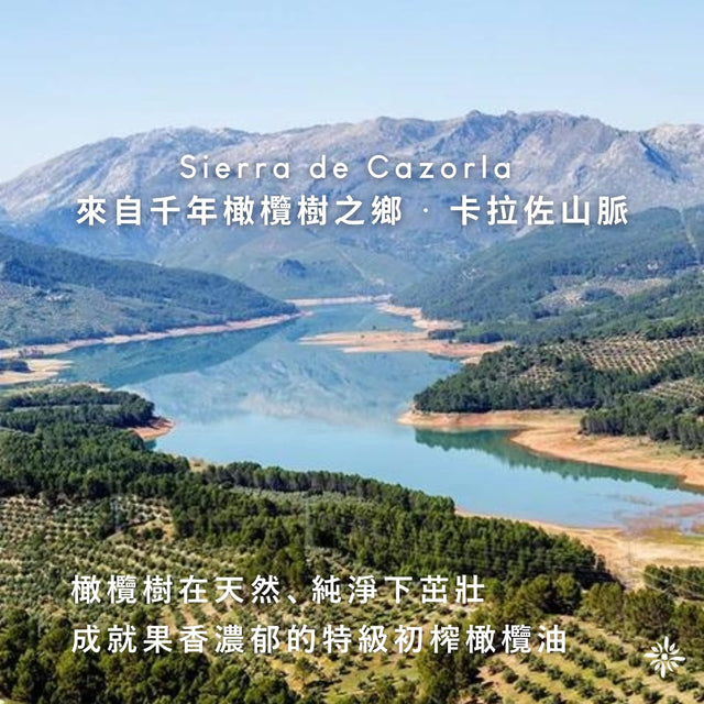 【混血兒Olimed】冷壓特級初榨橄欖油 芭樂、番茄水果香氣 - 1000ml